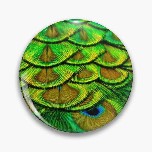 Item preview, Peacock Feathers designed and sold by Dalyndigital Photography.