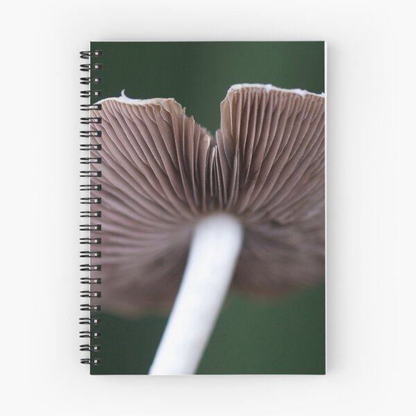Item preview, Mushroom Flight designed and sold by tasturm1.