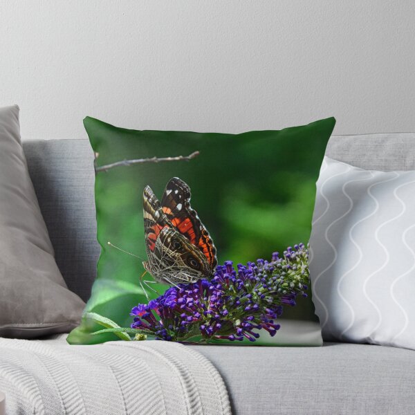 Aperçu de l'œuvre Papillon amiral rouge créée et vendue par LisaWootenPhoto.