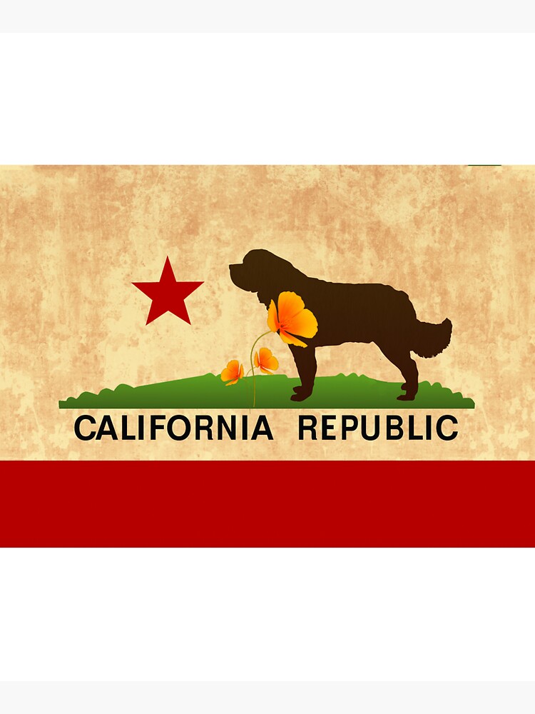 California Flag Face Mask by itsmechris