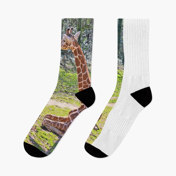 Item preview, Giraffe designed and sold by LisaWootenPhoto.