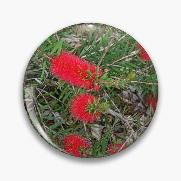Item preview, Bottlebrush Vertical designed and sold by LisaWootenPhoto.