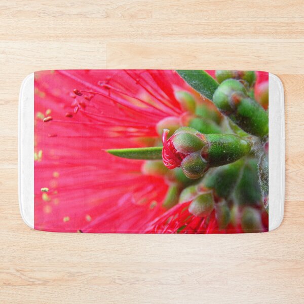Item preview, Bottlebrush Macro designed and sold by LisaWootenPhoto.