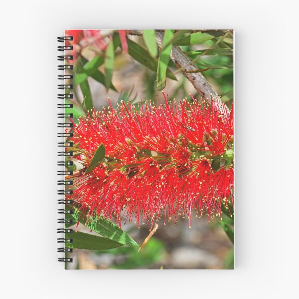 Item preview, Bottlebrush Flower designed and sold by LisaWootenPhoto.