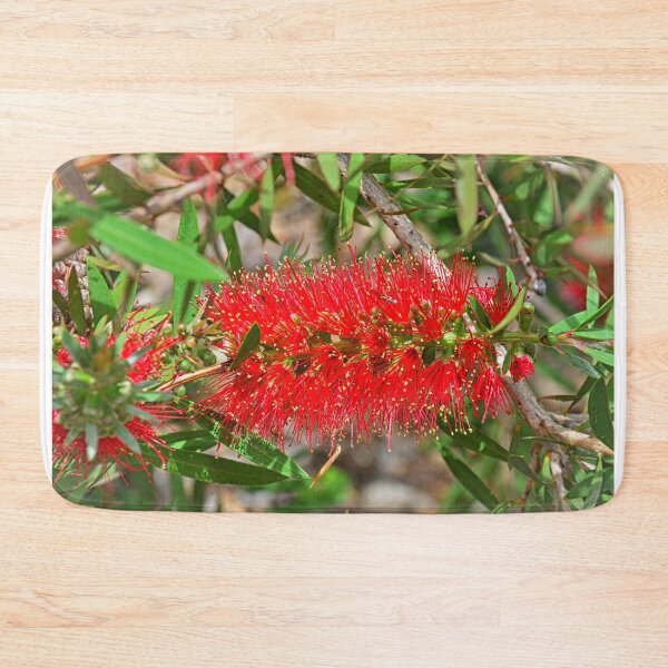 Item preview, Bottlebrush Flower designed and sold by LisaWootenPhoto.