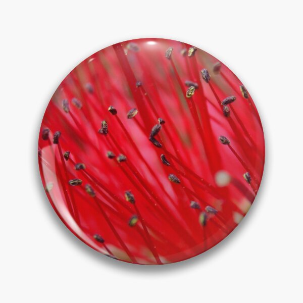 Item preview, Bottlebrush Close Up designed and sold by LisaWootenPhoto.