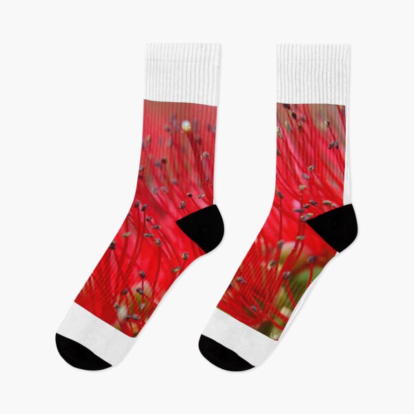 Item preview, Bottlebrush Close Up designed and sold by LisaWootenPhoto.