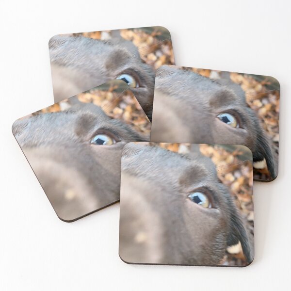 Item preview, BOOP!  designed and sold by haikufortwo.