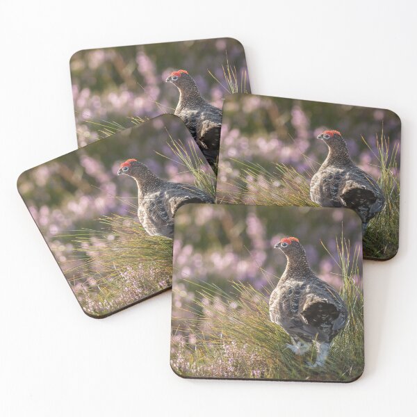 Item preview, Red Grouse in Heather designed and sold by kt-photography.
