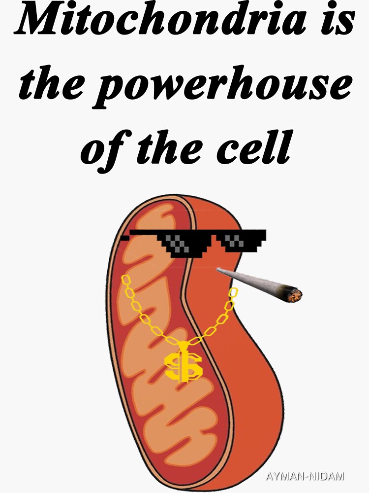 mitochondria-is-the-powerhouse-of-the-cell-sticker-for-sale-by-ayman