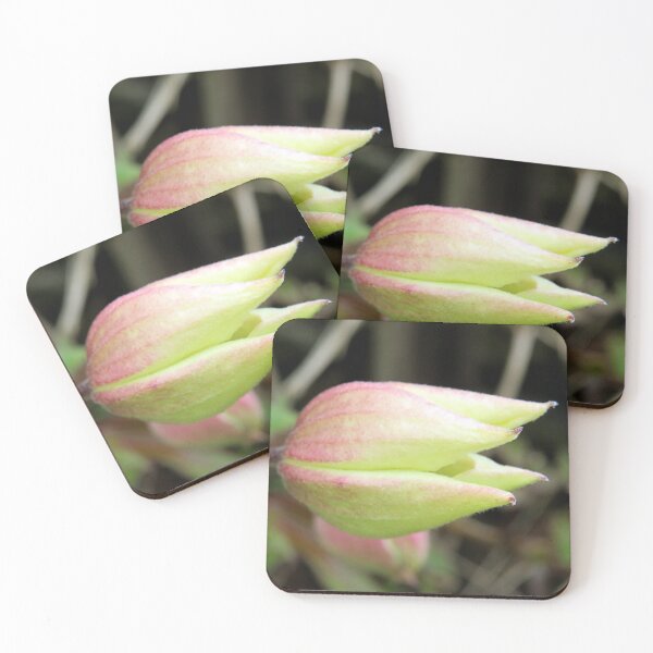 Item preview, flower bud designed and sold by KathleenDawson.