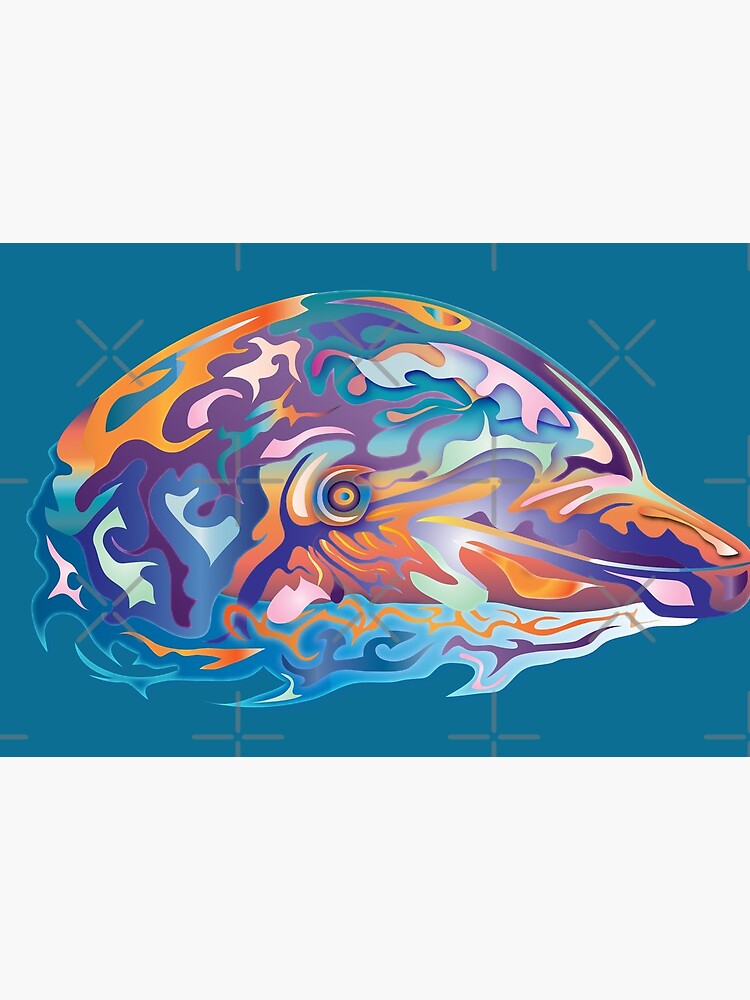 Dolphinator by Vanwizle