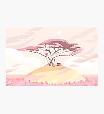 Lions' Mane Photographic Print