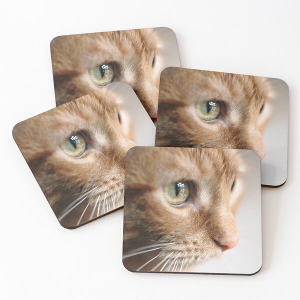 Item preview, Ginger cat designed and sold by MarioGuti.