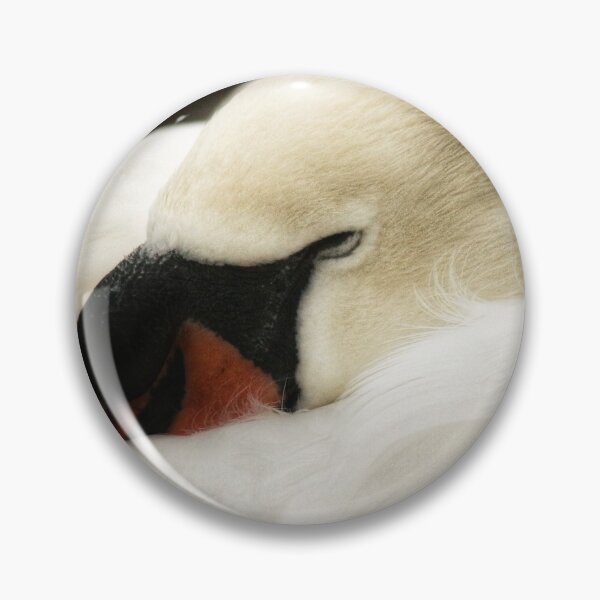 Item preview, Lazy Swan-day designed and sold by TerriWatson.