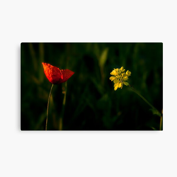Item preview, Red or Yellow? designed and sold by THHoang.