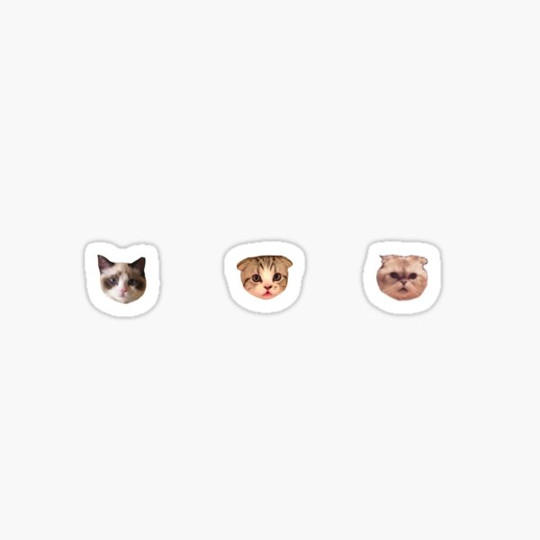 benjamin, meredith, olivia Sticker