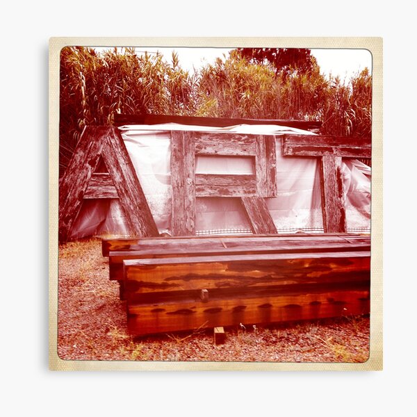ART - a wood sculpture Canvas Print