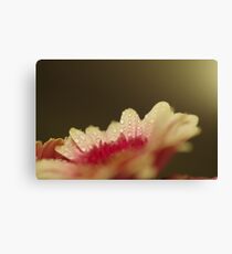 Weeping White Canvas Print