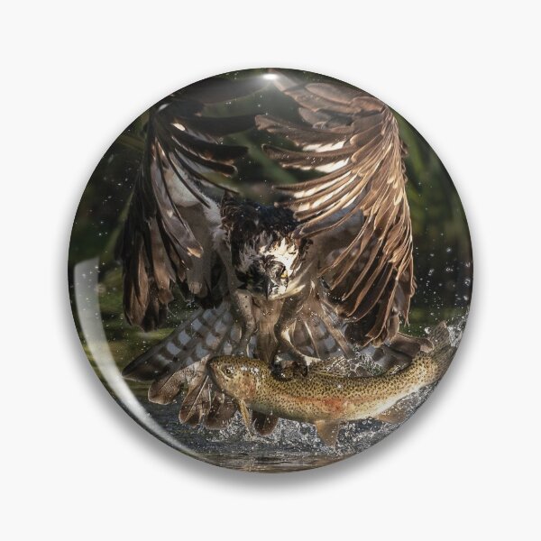 Item preview, Fishing Osprey designed and sold by kt-photography.
