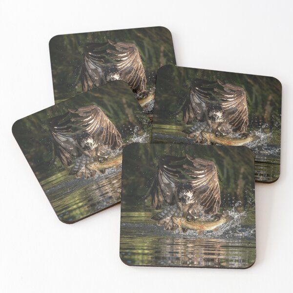 Item preview, Fishing Osprey designed and sold by kt-photography.
