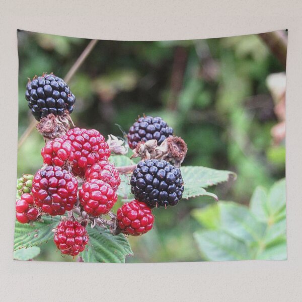 Item preview, Blackberries designed and sold by WildandDivine.