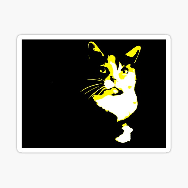The cat knows more Sticker