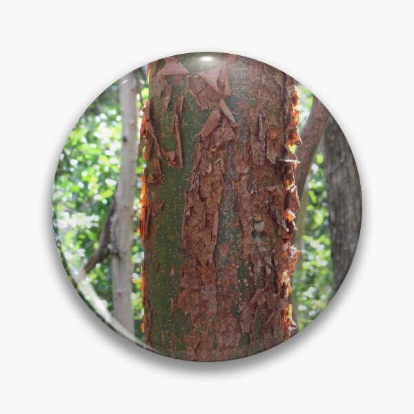 Item preview, Beautiful Bark designed and sold by Takisha Hearne.