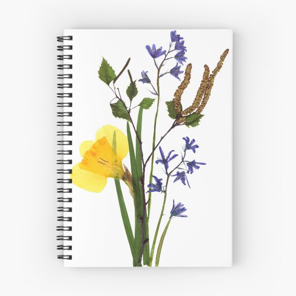 Artikelvorschau, Narzisse / Narzisse, Glockenblumen- und Birkenbaumzweig, gepresste Blumenkunst entworfen und verkauft von Gifts With Nature.