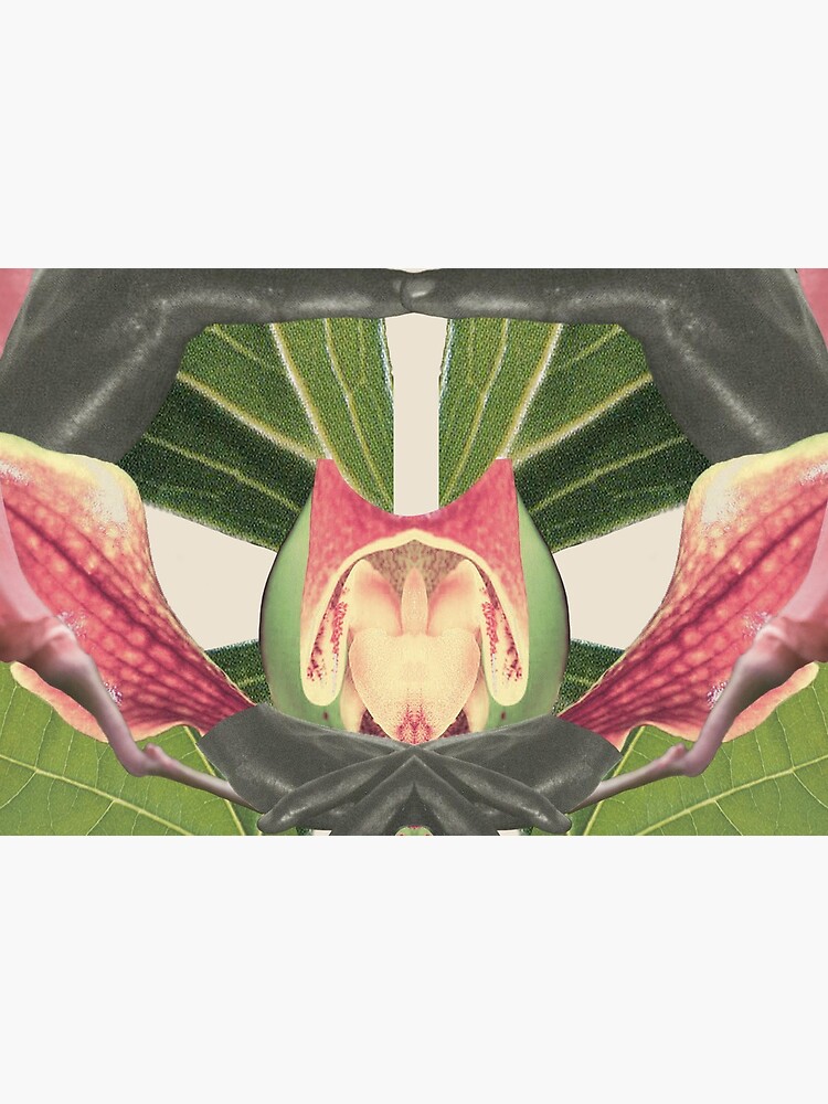 Flower of Birth - collage art, nature by ilariaantolini