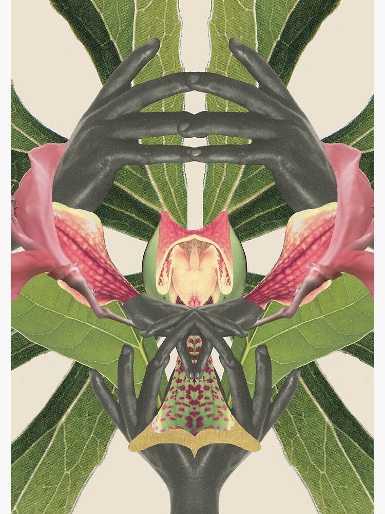 Flower of Birth - collage art, nature by ilariaantolini