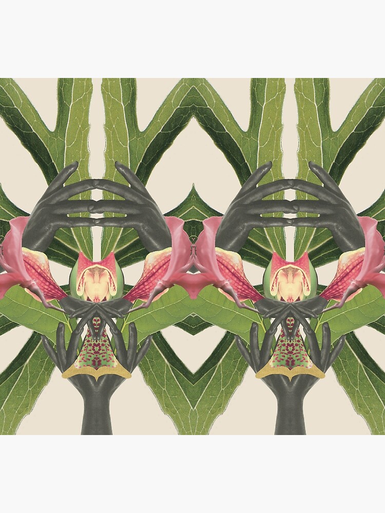 Flower of Birth - collage art, nature by ilariaantolini