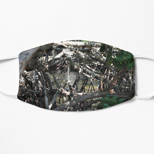 Through the Mangrove Mask