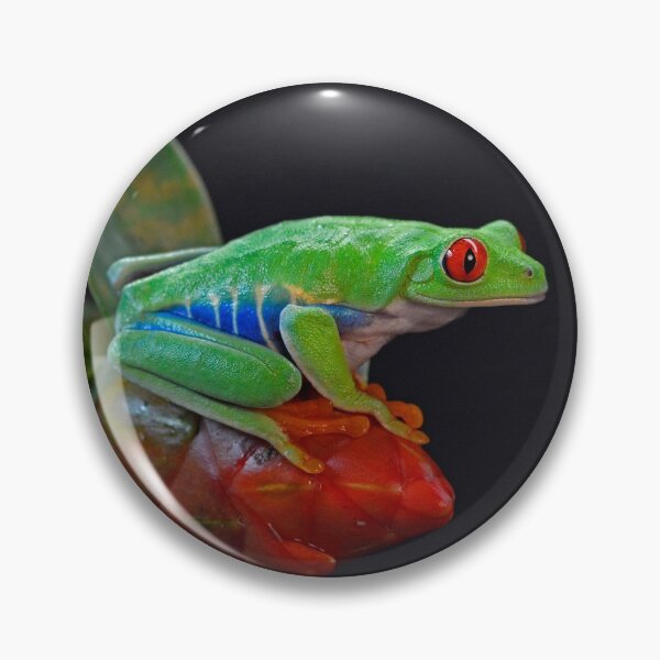 Item preview, Red Eye Tree Frog designed and sold by candiscamera.