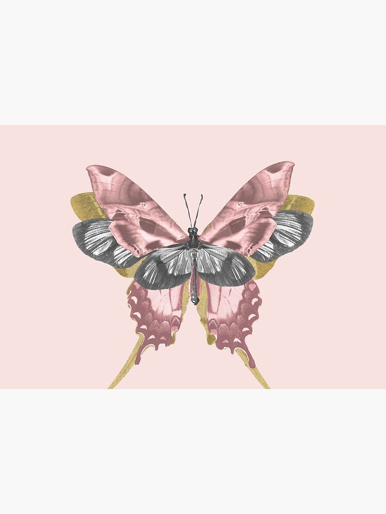Pink Butterfly - nature, collage by ilariaantolini