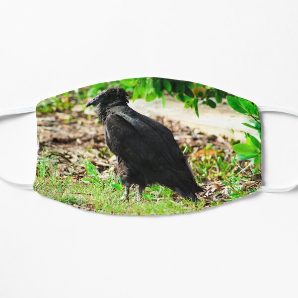 Black-Headed Vulture Mask