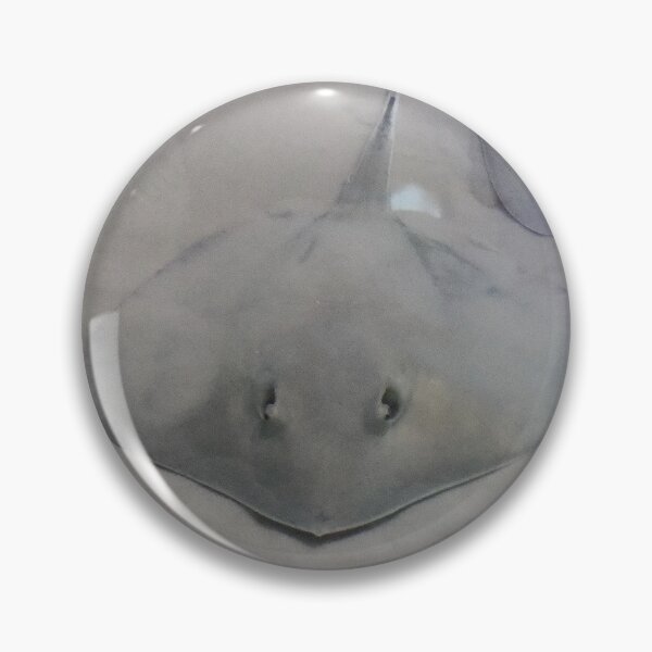 Item preview, Sand Stingray designed and sold by Laura Booker.