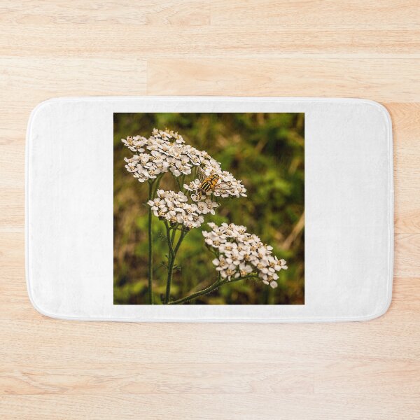Item preview, Just Visiting designed and sold by Colin Metcalf.