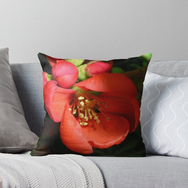 Item preview, Japanese Quince designed and sold by lezvee.
