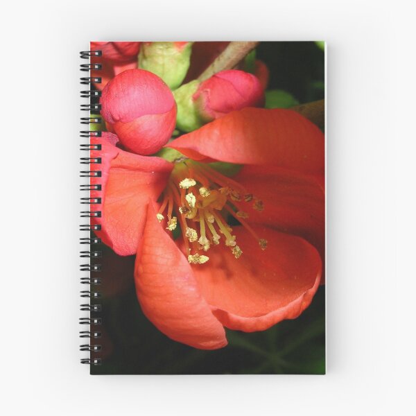 Item preview, Japanese Quince designed and sold by lezvee.