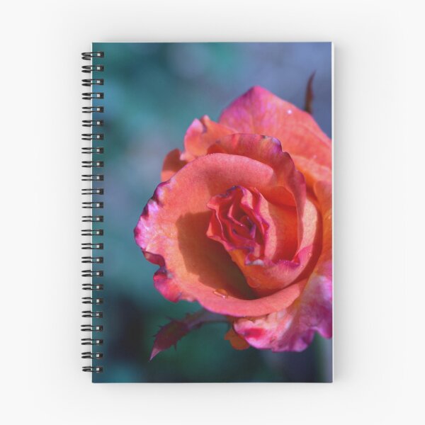Item preview, Orange and Pink Rose designed and sold by Cr8tive4life.