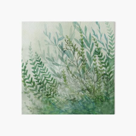 Ferns and Fog Art Board Print