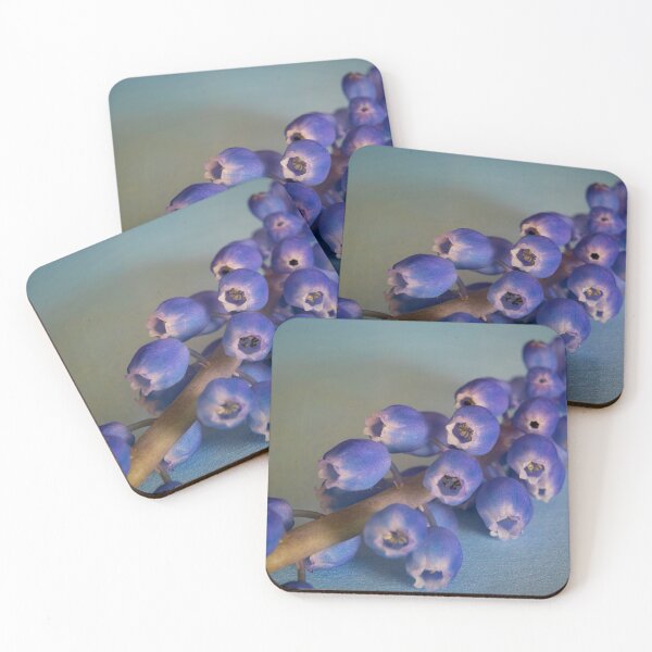 Item preview, Grape Hyacinth (Muscari) designed and sold by Colin Metcalf.