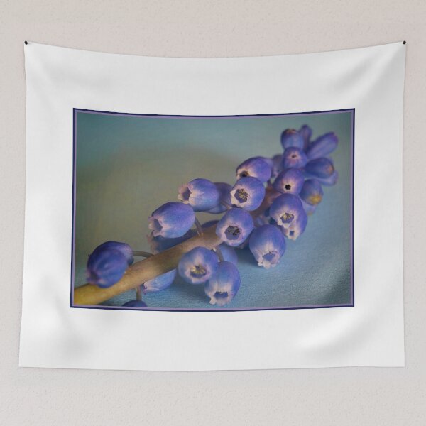 Item preview, Grape Hyacinth (Muscari) designed and sold by Colin Metcalf.