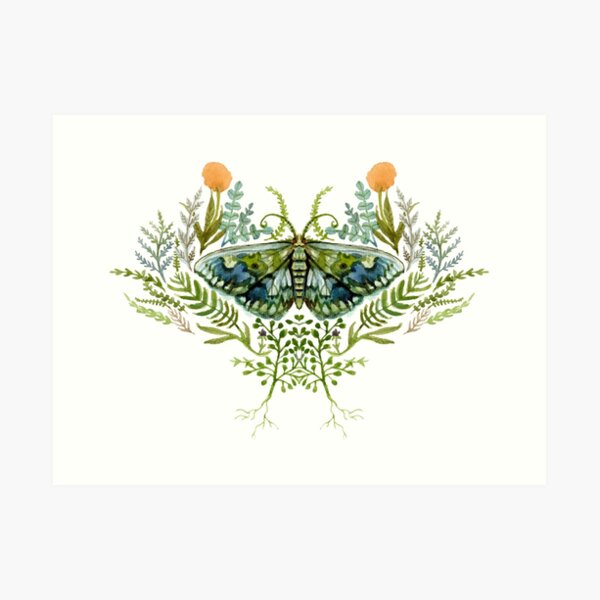 Moth with Plants Art Print