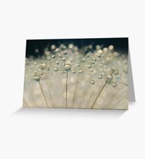 Midnight Blue Dandy Sparkles Greeting Card