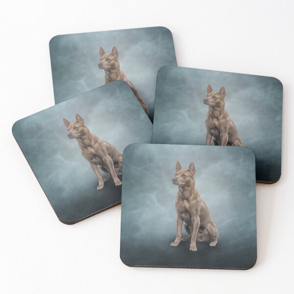 Item preview, Drawing dog Thai Readback designed and sold by bonidog.