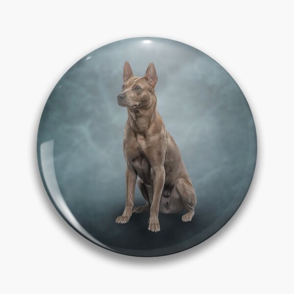 Item preview, Drawing dog Thai Readback designed and sold by bonidog.