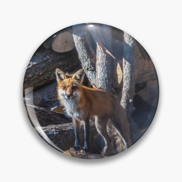 Item preview, Poppa Fox Logging In .... designed and sold by KennyBImages899.