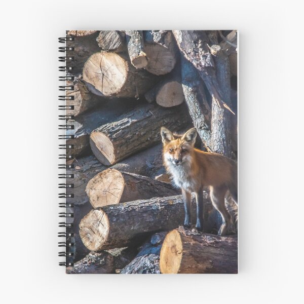 Item preview, Poppa Fox Logging In .... designed and sold by KennyBImages899.